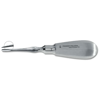 Elevateur White Apical (3,5Mm) N°61