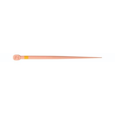 POINTES DE GUTTA-PERCHA PROTAPER CONFORM FIT DENTSPLY SIRONA